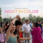 Night in Color Ingolstadt